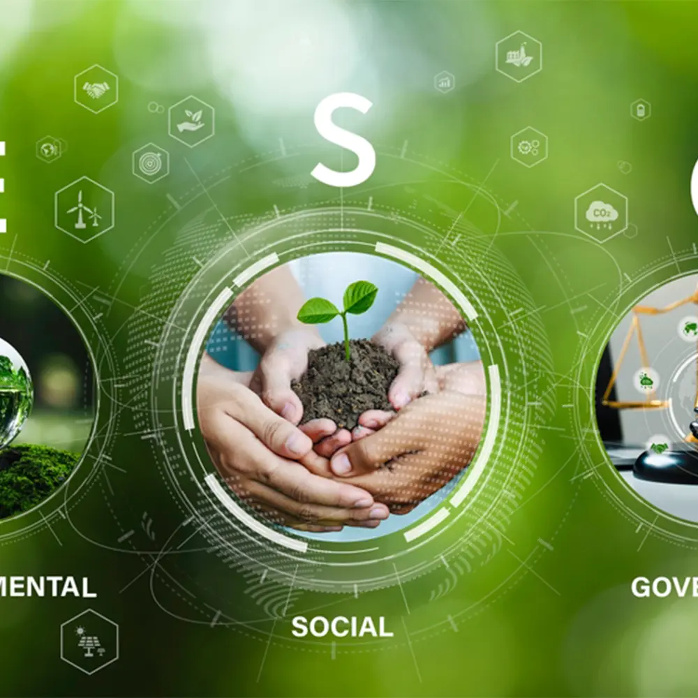 Values Rooted in Sustainability